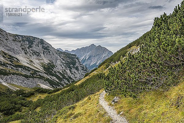 Wanderweg mit Blick auf Vogelkarspitze und Hintere Schlichtenkarspitze  Abstieg von der Birkkarspitze  Vomperkette  Karwendel  Tirol  Österreich  Europa