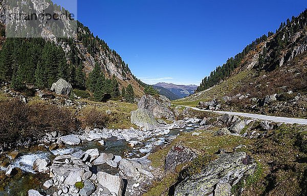 Berglandschaft  Wildgerlostal  Zillertaler Alpen  Nationalpark Hohe Tauern  Krimml  Pinzgau  Bundesland Salzburg  Österreich  Europa