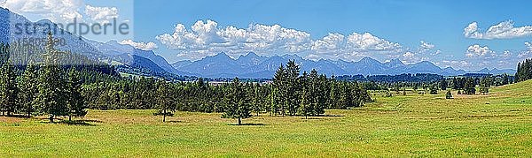 Naturbiotop mit saftigen Wiesen und Ammergauer Alpen  Alpenvorland  Unterreithen  Bayern  Deutschland  Europa