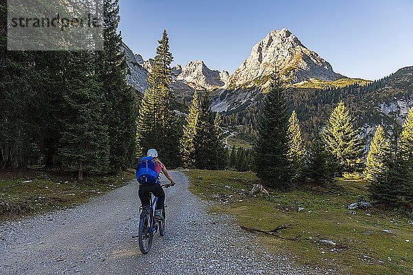 Mountainbiker auf Schotterstraße zum Seebensee  hinter Ehrwalder Sonnenspitze  Mieminger Kette  Tirol  Österreich  Europa