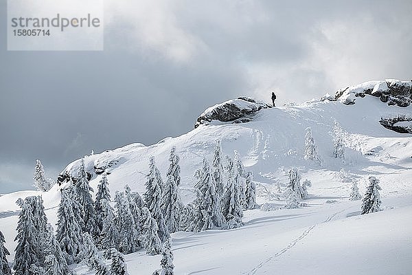 Touristen- und Arbermandln  Großer Arber  Bayerischer Wald  Deutschland  Europa