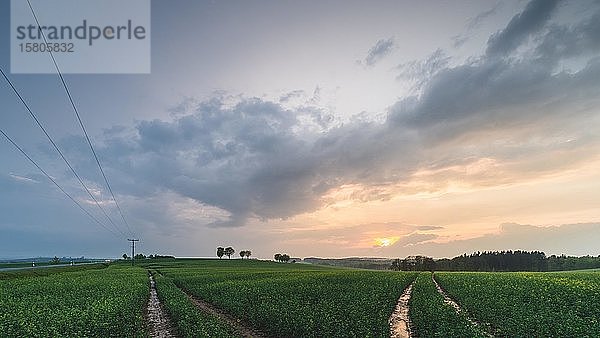 Sonnenuntergang nach einem Gewitter  Elbsandsteingebirge  Sächsische Schweiz  Deutschland  Europa