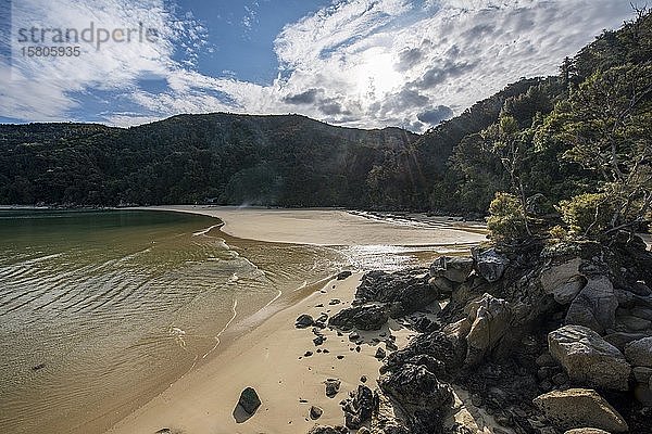 Sandstrand an der Stillwell Bay  Abel Tasman National Park  Tasman  Südinsel  Neuseeland  Ozeanien