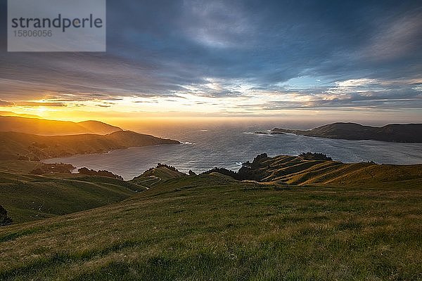 Blick auf Wiesen und felsige Küste bei Sonnenuntergang  French Pass  Marlborough-Region  Marlborough Sounds  Picton  Südinsel  Neuseeland  Ozeanien