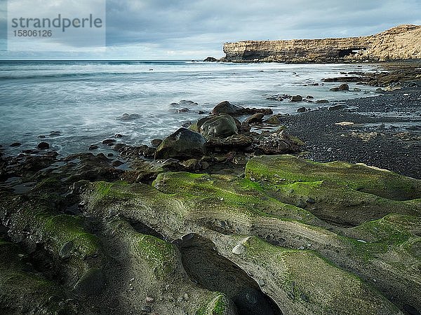Mit Grünalgen bewachsene Steine bei Ebbe in einer Küstenlandschaft  La Pared  Fuerteventura  Kanarische Inseln  Spanien  Europa