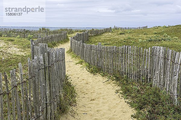 Umzäunter Weg zum Strand Saint Pierre  Locmariaquer  Département Morbihan  Frankreich  Europa