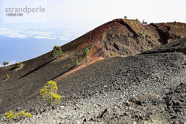 Wanderweg zum Vulkan Martin auf La Palma; La Palma; Kanarische Inseln; Spanien