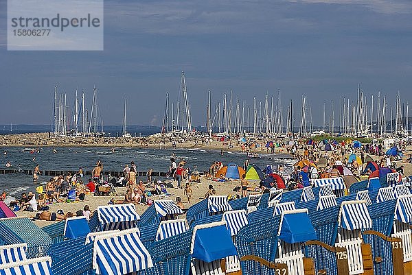 Ostsee  Strand mit Strandkörben  Ostseebad Kühlungsborn  Mecklenburg Vorpommern  Deutschland  Europa
