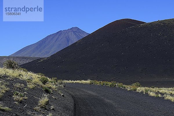 Weg durch vulkanische Mondlandschaft  Vulkan Payun im Hintergrund  Reserva La Payunia  Provinz Mendoza  Argentinien  Südamerika