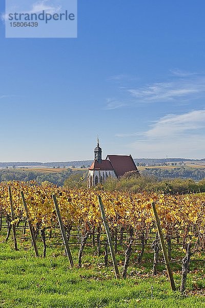 Wallfahrtskirche Maria im Weingarten  Volkach  Mainfranken  Unterfranken  Franken  Bayern  Deutschland  Europa