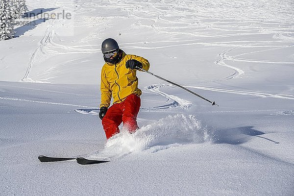 Skifahrer im Tiefschnee  Abfahrt Hohe Salve  SkiWelt Wilder Kaiser Brixenthal  Hochbrixen  Tirol  Österreich  Europa