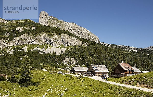 Totes Gebirge  Almhütten auf der Tauplitz Alm  Tauplitz  Salzkammergut  Steiermark  Österreich  Europa