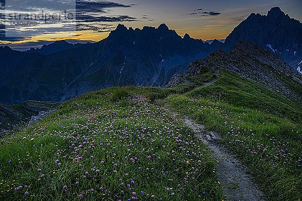 Bergweg mit Blumenwiese bei Sonnenaufgang in Berglandschaft  Gramais  Lechtal  Außerfern  Tirol  Österreich  Europa