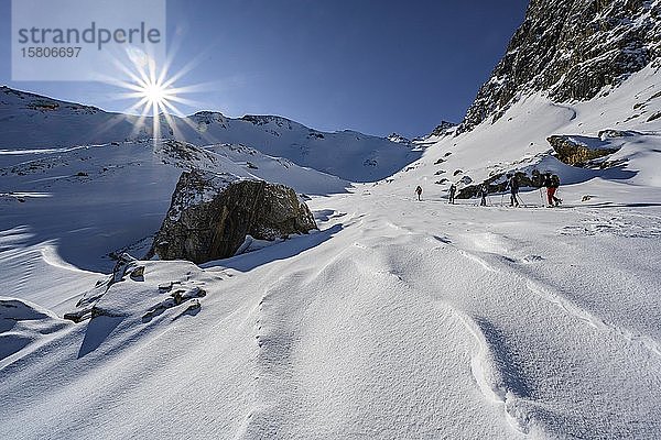 Gruppe von Skitourengehern  Aufstieg zur Geierspitze  Wattentaler Lizum  Tuxer Alpen  Tirol  Österreich  Europa