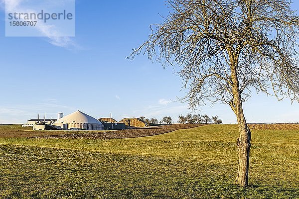 Biogasanlage bei Backnang  Baden-Württemberg  Deutschland  Europa