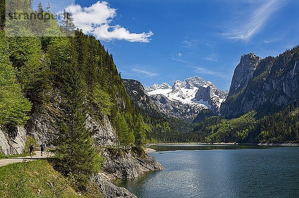 Wanderweg am Gosausee  Dachsteinmassiv  Gosausee mit Dachstein  Salzkammergut  Oberösterreich  Österreich  Europa