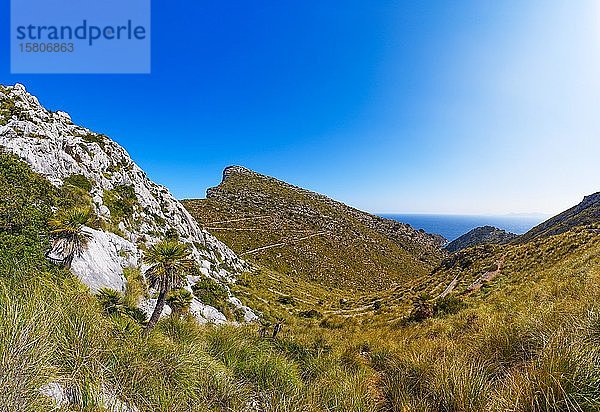 Bergwandern auf Mallorca  Wanderweg zur Cala Murta  Serpentinenweg alter Leuchtturm Cami Vell del Far  Halbinsel Formentor  Mallorca  Balearen  Spanien  Europa