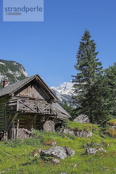 Dachsteinmassiv  Almhütte mit Blick auf den Dachstein  Gosau  Salzkammergut  Oberösterreich  Österreich  Europa