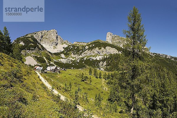 Totes Gebirge  Almhütten auf der Tauplitz Alm  Tauplitz  Salzkammergut  Steiermark  Österreich  Europa