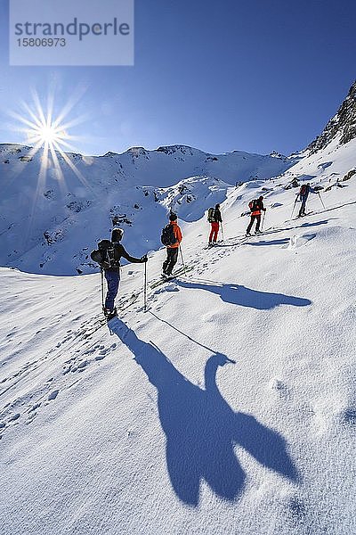 Skitourengeher im Winter  Sonnenschein und blauer Himmel  Aufstieg zur Geierspitze  Wattentaler Lizum  Tuxer Alpen  Tirol  Österreich  Europa