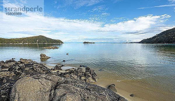 Blick vom Strand der Stillwell Bay auf Adele Island  Abel Tasman National Park  Tasman  Südinsel  Neuseeland  Ozeanien