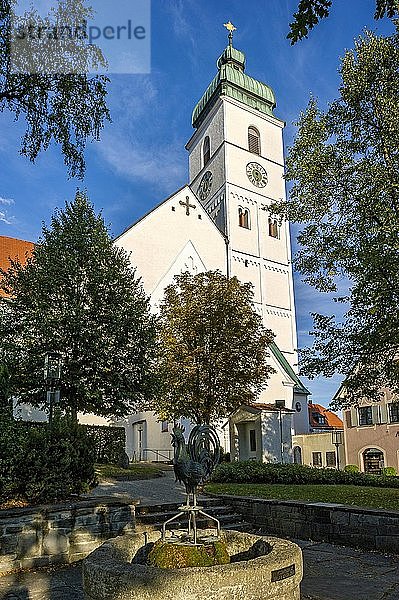 Ehemalige Klosterkirche St. Sebastian  Yssingeaux-Brunnen  Stadtpark  Altstadt  Ebersberg  Oberbayern  Bayern  Deutschland  Europa