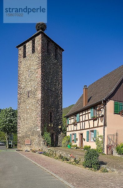 Wachturm an der Stadtmauer  Kayserberg  Elsass  Frankreich  Europa