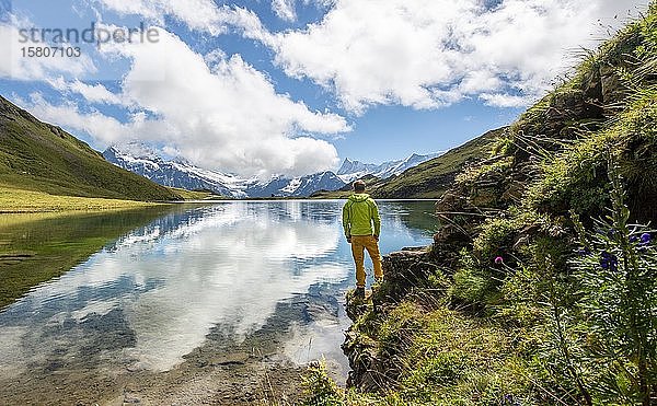 Wanderer am Bachalpsee  Spiegelung im See  Schreckhorn- und Finsteraarhorngipfel  Grindelwald  Berner Oberland  Schweiz  Europa