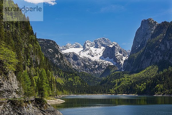 Wanderweg am Gosausee  Dachsteinmassiv  Gosausee mit Dachstein  Salzkammergut  Oberösterreich  Österreich  Europa