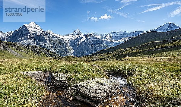 Kleiner Bach  schneebedecktes Fiescherhorn  Wetterhorn und Schreckhorn  Grindelwald  Bern  Schweiz  Europa