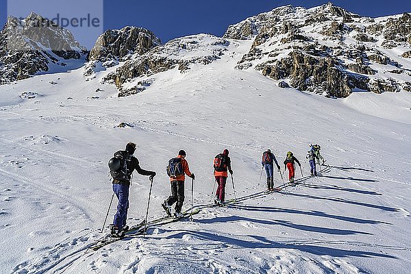 Skitourengeher im Winter  Sonnenschein und blauer Himmel  Aufstieg zur Geierspitze  Wattentaler Lizum  Tuxer Alpen  Tirol  Österreich  Europa