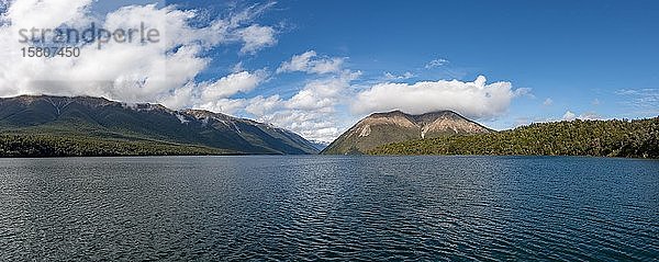 Blick über den Rotoiti-See  Nelson Lakes National Park  Tasman District  Südinsel  Neuseeland  Ozeanien