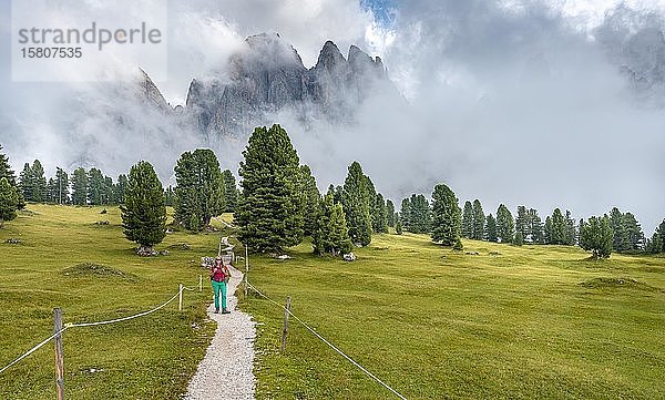 Junge Frau  Wanderin auf einem Wanderweg  im Rücken Sass Rigais  Parco Naturale Puez Odle  Südtirol  Italien  Europa