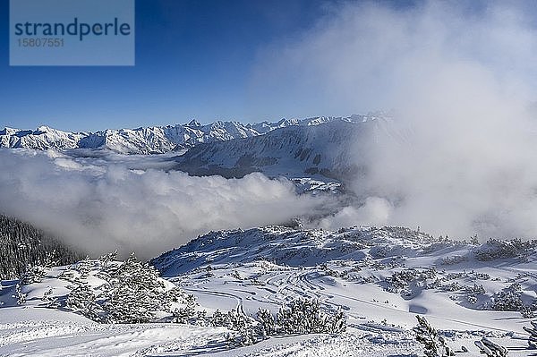Skiloipen mit Allgäuer Alpen  Ritzlern  Kleinwalsertal  Vorarlberg  Österreich  Europa