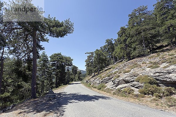 Alpenstraße in der bergigen Landschaft des Inneren Korsikas  Albertacce  Korsika  Frankreich  Europa