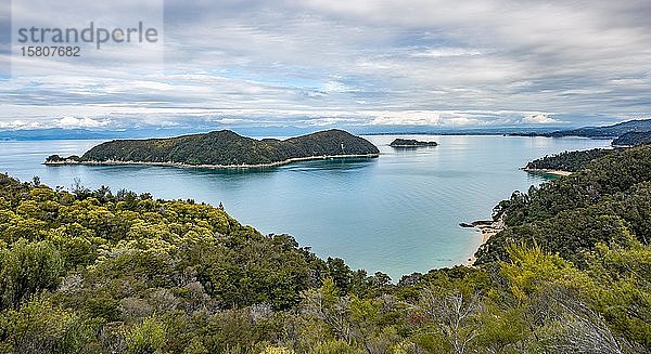 Blick über Bay Astrolabe Roadstead mit Adele Island  Abel Tasman National Park  Tasman  Südinsel  Neuseeland  Ozeanien