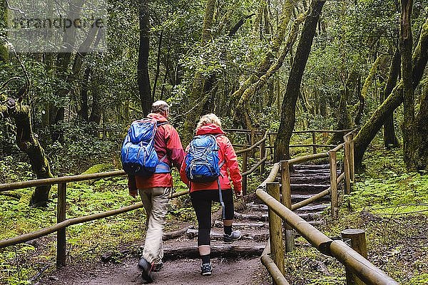 Paar beim Wandern auf einem Waldweg im Lorbeerwald  Laguna Grande  Garajonay Nationalpark  La Gomera  Kanarische Inseln  Spanien  Europa