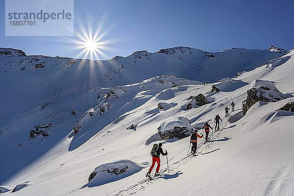 Skitourengeher im Winter  Sonnenschein und blauer Himmel  Aufstieg zur Geierspitze  Wattentaler Lizum  Tuxer Alpen  Tirol  Österreich  Europa