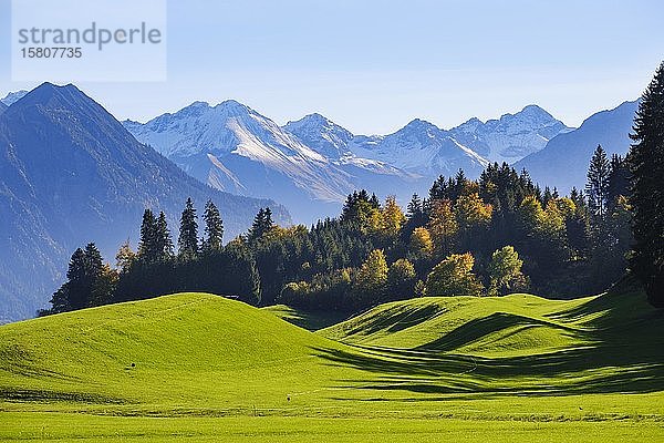 Allgäuer Alpen bei Oberstdorf  Blick von Schöllang  Oberallgäu  Allgäu  Schwaben  Bayern  Deutschland  Europa