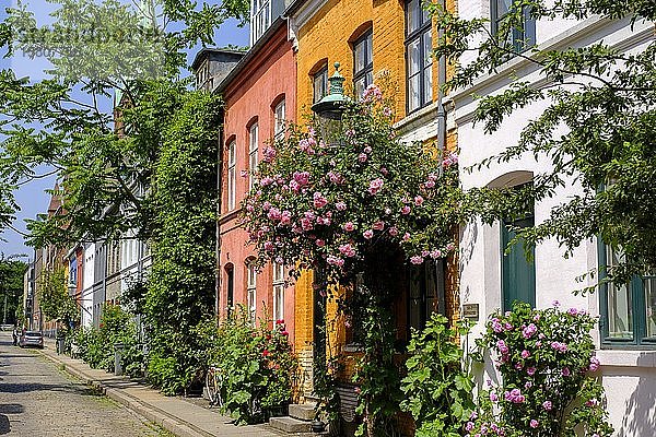 Historische Arbeitersiedlung Nyboder  Kopenhagen  Dänemark  Europa