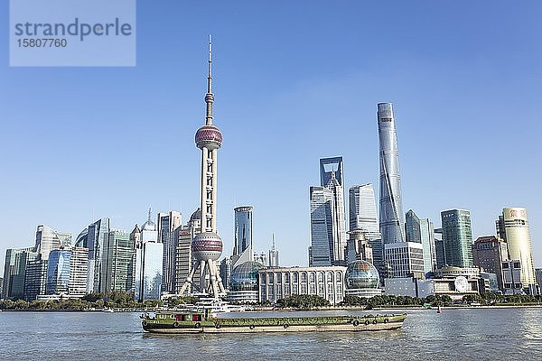 Skyline mit Hochhäusern  Pudong  Shanghai  China  Asien