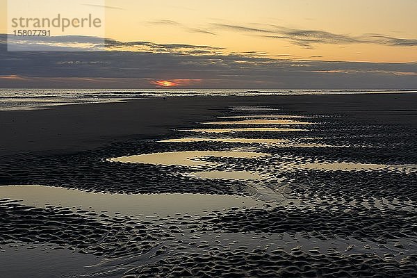 Sonnenuntergang bei Ebbe auf dem Wattenmeer  Insel Amrum  Nordsee  Nordfriesische Insel  Schleswig-Holstein  Deutschland  Europa