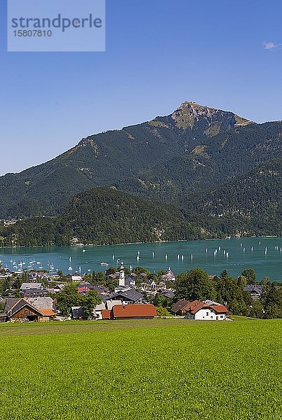 Sankt Gilgen am Wolfgangsee mit Schafberg  Bundesland Salzburg  Österreich  Europa