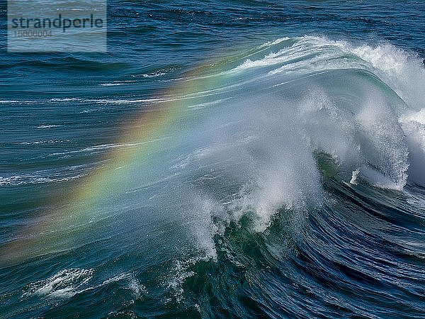 Welle mit Regenbogen in der Gischt  Fuerteventura  Kanarische Inseln  Spanien  Europa