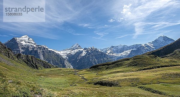 Blick auf das schneebedeckte Fiescherhorn  Wetterhorn und Schreckhorn  Grindelwald  Bern  Schweiz  Europa
