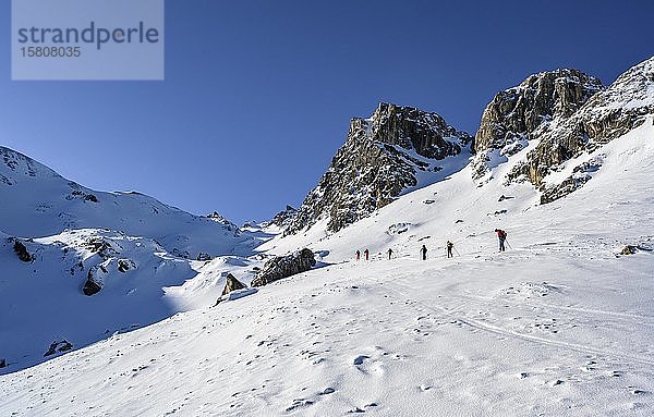 Skitourengeher im Winter  Aufstieg zur Geierspitze  Wattentaler Lizum  Tuxer Alpen  Tirol  Österreich  Europa