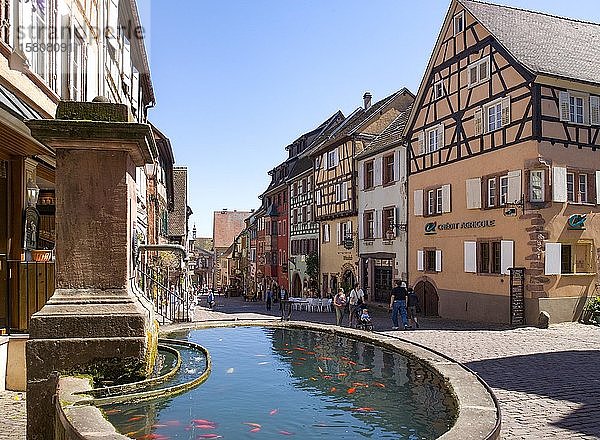 Brunnen mit Goldfisch  Altstadt  Fachwerkhäuser in der Rue de General de Gaule  Riquewihr  Elsass  Frankreich  Europa