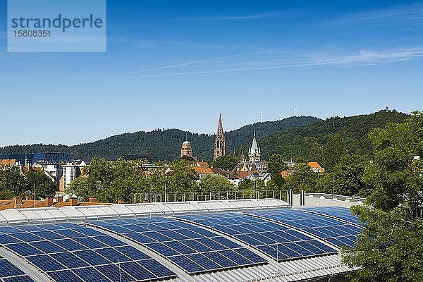 Stadtansicht mit Freiburger Münster und Fotovoltaikanlage  Freiburg im Breisgau  Schwarzwald  Baden-Württemberg  Deutschland  Europa