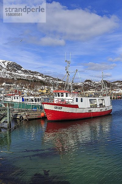 Fischerboote im Hafen von Tromvik  Insel Kvaløya  Troms  Norwegen  Europa