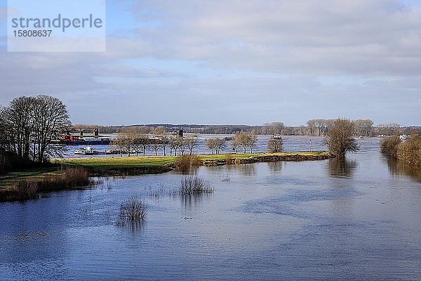 Lippe  Überschwemmung in der renaturierten Aue an der Mündung der Lippe in den Rhein  Wesel  Niederrhein  Nordrhein-Westfalen  Deutschland  Europa